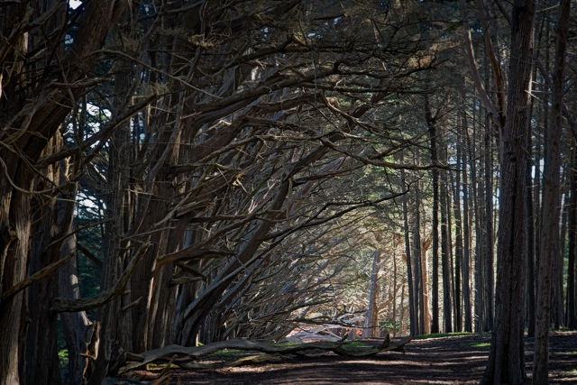 Fitzgerald Marine Reserve